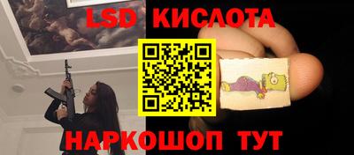 стаф Заводоуковск
