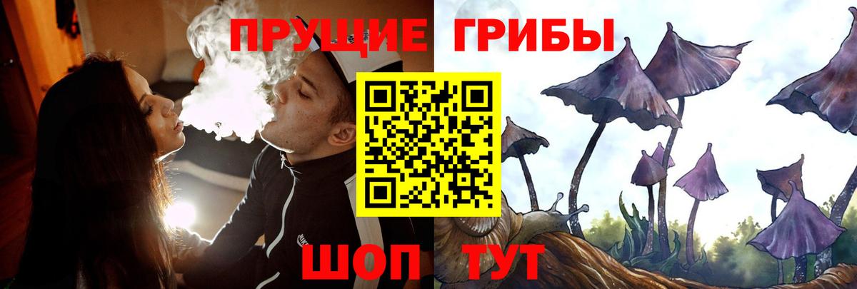 Галлюциногенные грибы Psilocybine cubensis  Галлюциногенные грибы Magic Shrooms  Вход с VPN  Магадан 